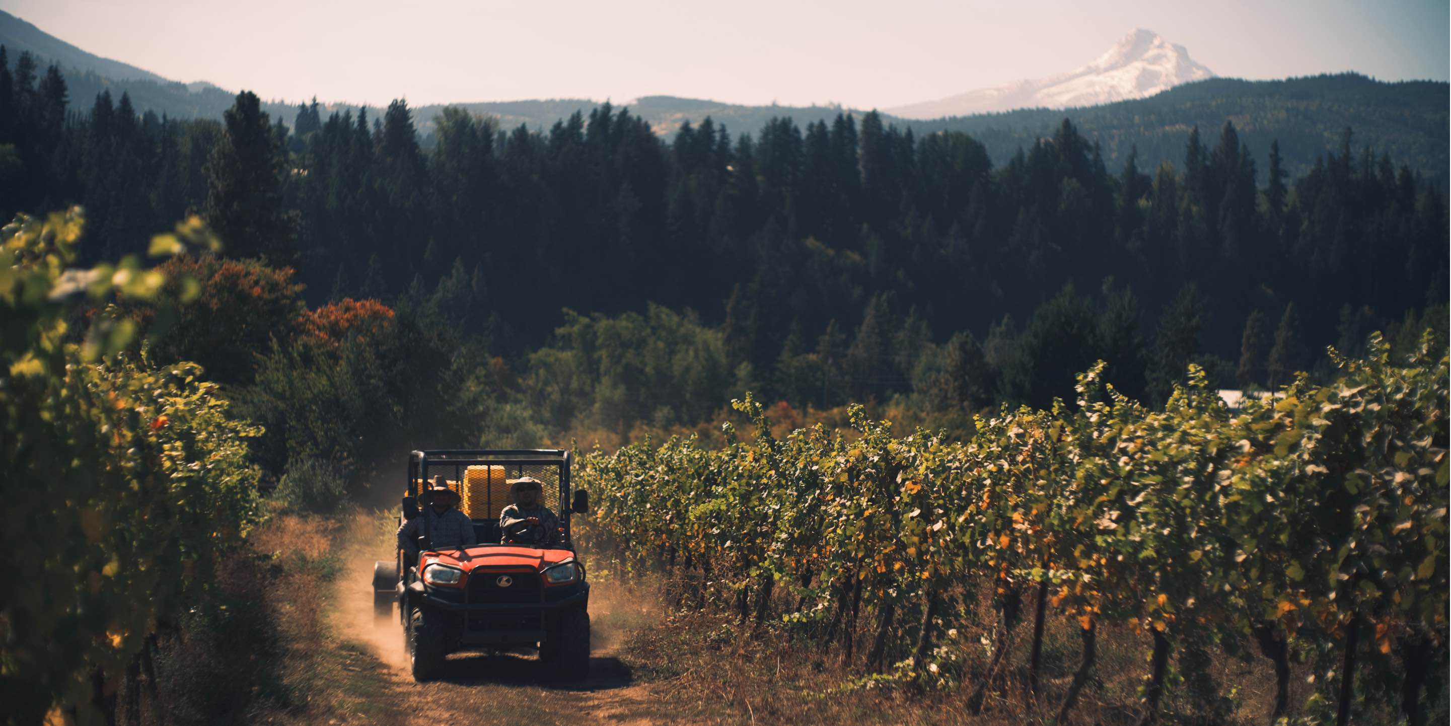 Hiyu-Wine-Farm-Harvest-2021-Slideshow-Nate-Ready-03