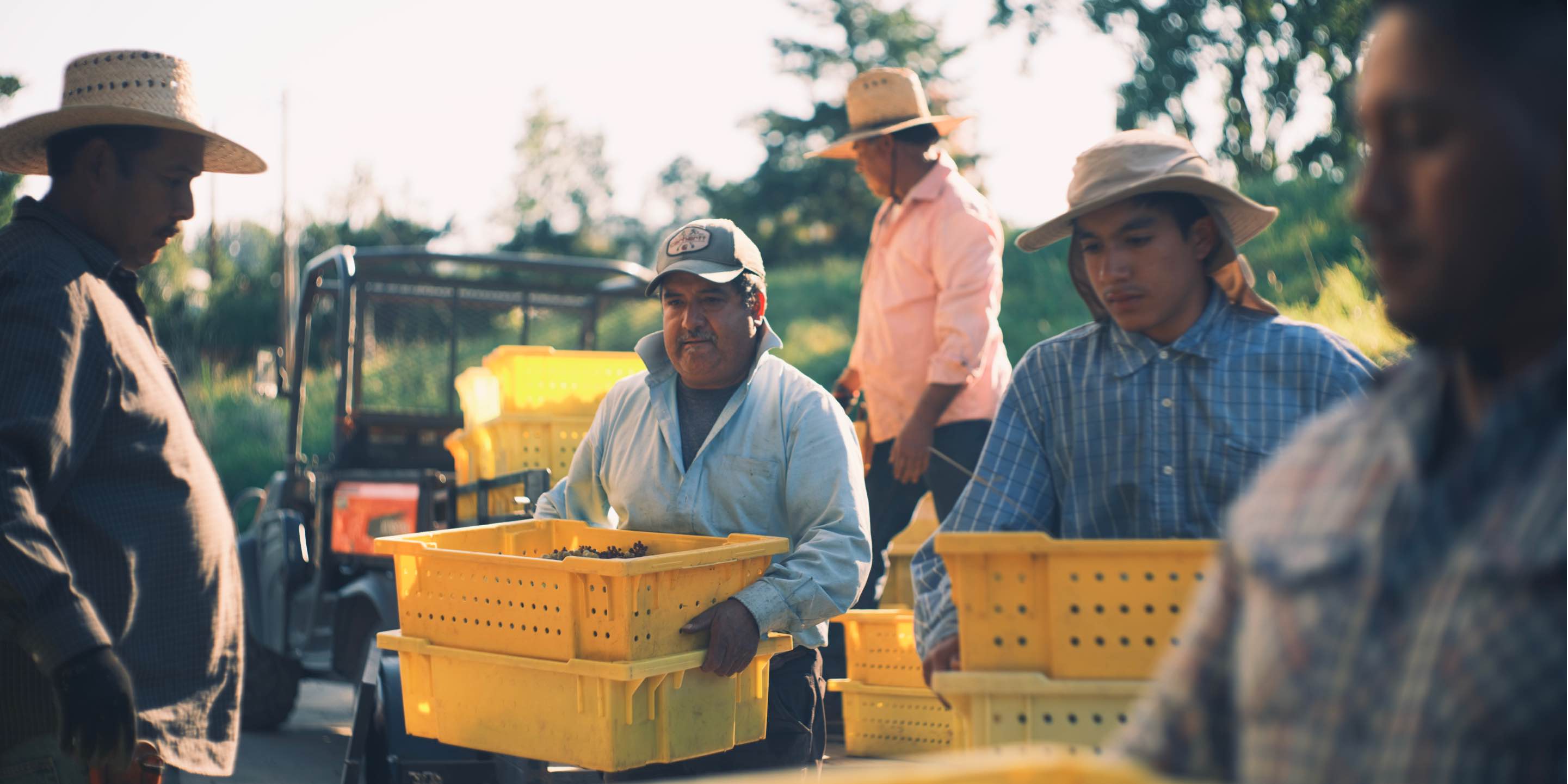 Hiyu-Wine-Farm-Harvest-2021-Slideshow-Nate-Ready-04