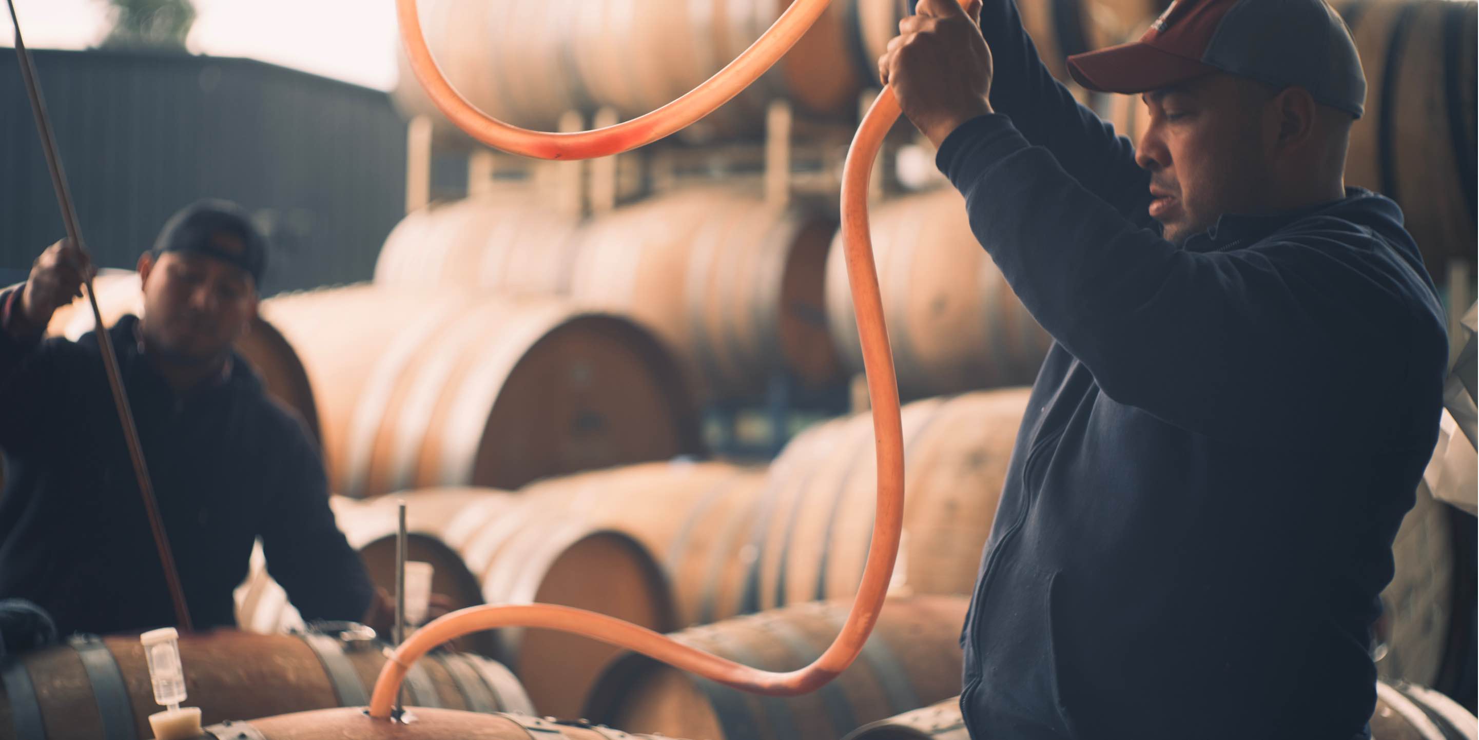 Hiyu-Wine-Farm-Harvest-2021-Slideshow-Nate-Ready-10