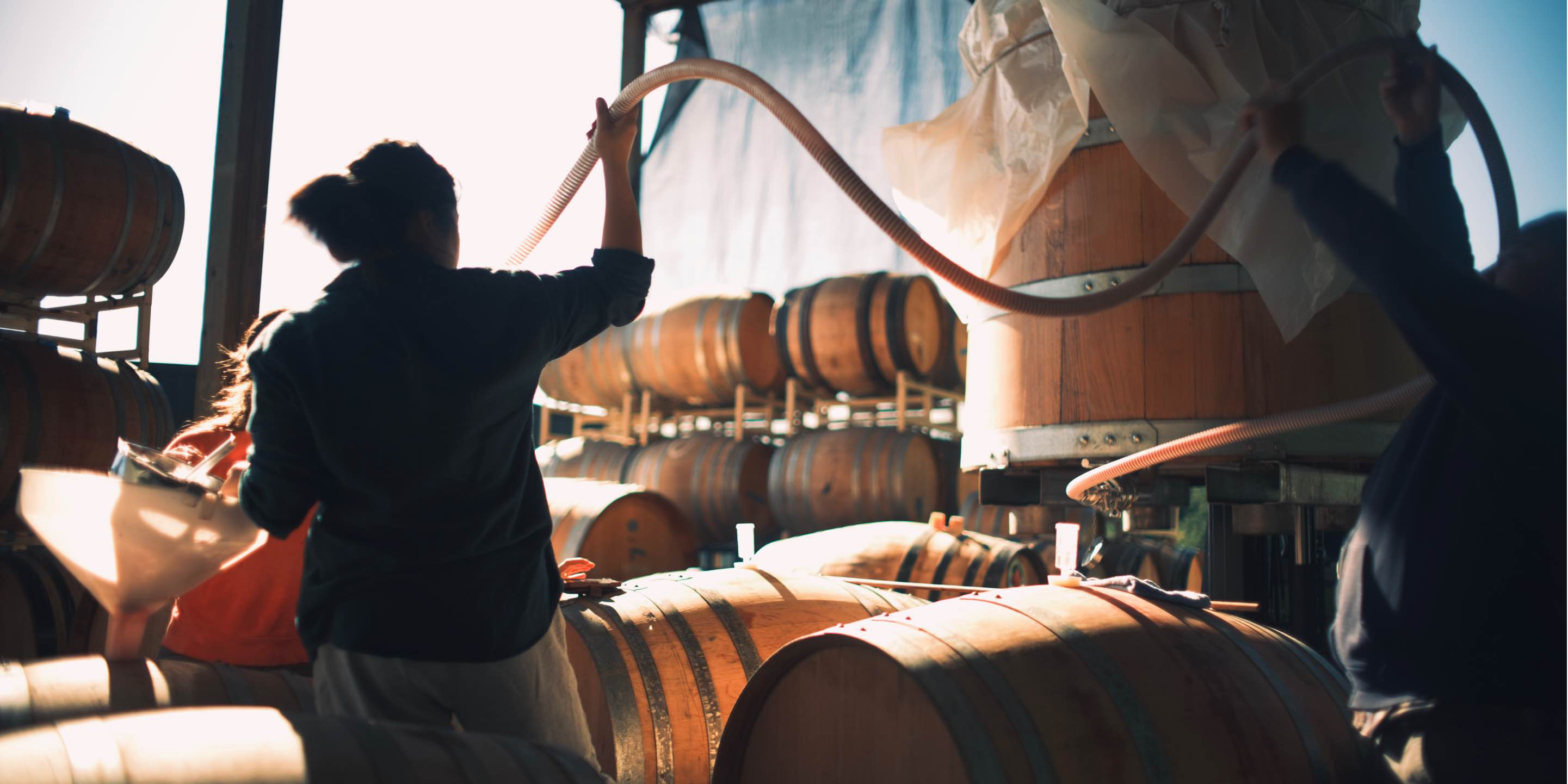 Hiyu-Wine-Farm-Harvest-2021-Slideshow-Nate-Ready-11